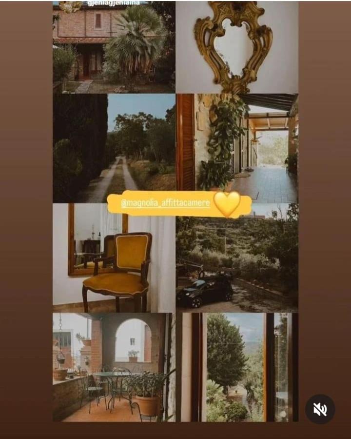 Appartement Magnolia à Cortone Extérieur photo